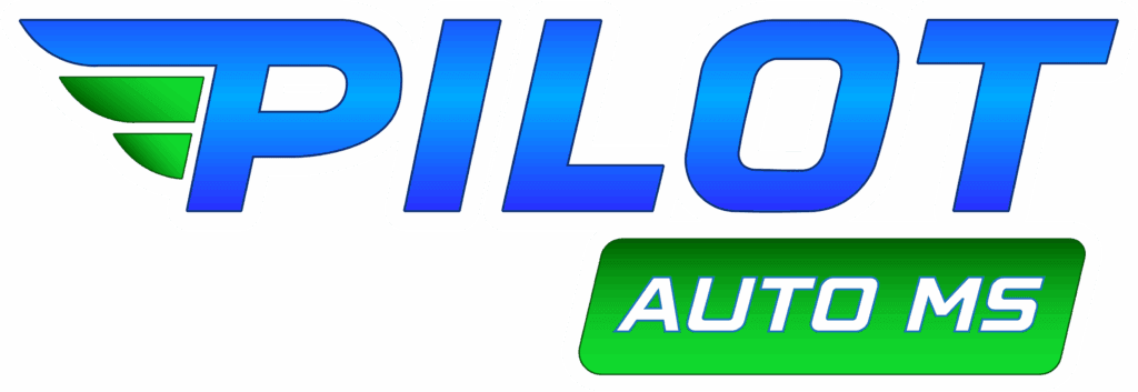 PILOT AUTO MS